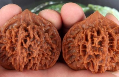 河北邯郸市有哪些特产