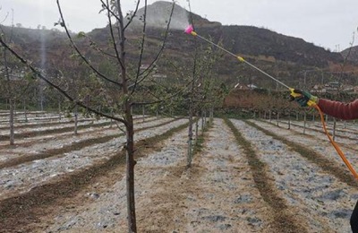 杀虫剂有哪些种类？介绍了6种常用杀虫剂的价格和功能