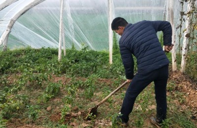 二十四节气农事歌经验总结，农民必看