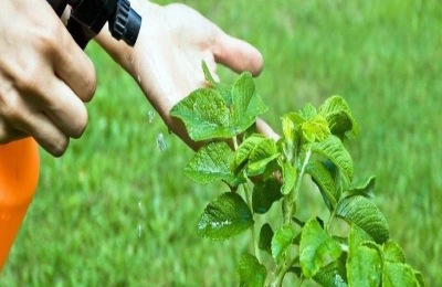 敌敌畏的作用和功效