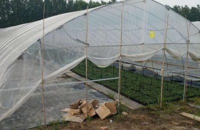 蔬菜大棚怎么搭建牢固,一般需要多少钱