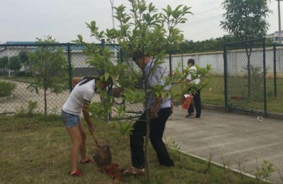 一棵果树用多少复合肥