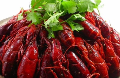 中国小龙虾之乡在哪里?小龙虾有哪些品种