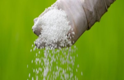 农业生产过程中5种普遍化肥应用禁忌