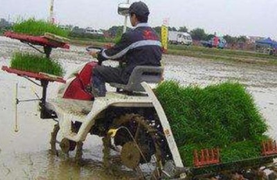 水稻插秧机工作原理