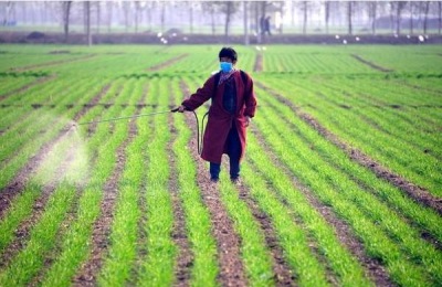 冬小麦追肥时间