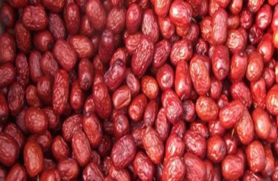 黄河滩枣一斤多少钱？产地在哪里