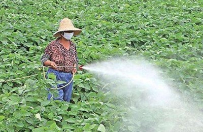 灭生性除草剂有哪些?哪些比较厉害