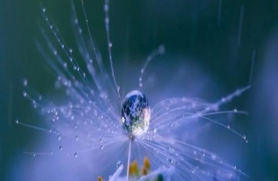 今天寒露，老人常说白露不漏身，寒露不漏脚是什么意思