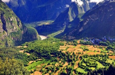 甜菜的产地在哪里?有哪些种类