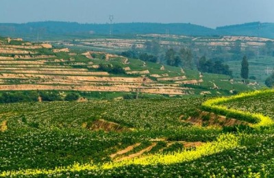 施肥机械的主要类型