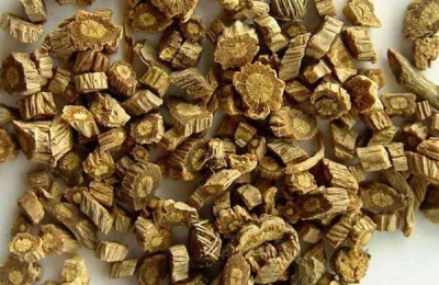 陕北适合种什么药材？这些最赚钱