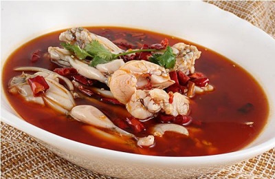 最新的高产养殖技术