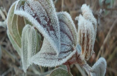 霜降是什么意思