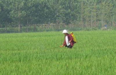 除草剂种类有哪几种?怎么分类