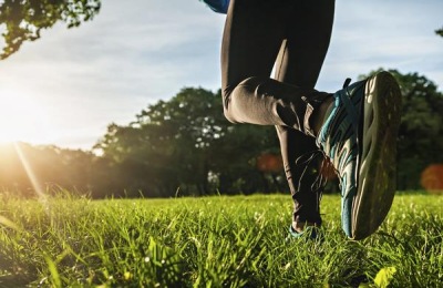 有哪些可食用的海藻？介绍六种可食用海藻的特点和价格