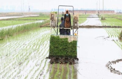 水稻插秧机工作原理