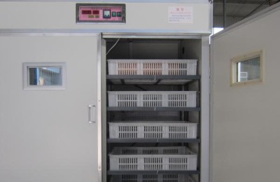 全自动孵化机使用方法？多少钱一台？