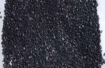 微生物菌剂和微生物菌肥有什么区别