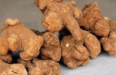 种植什么药材好赚钱