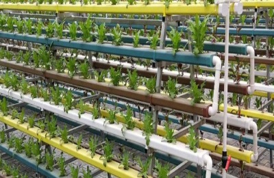 无土栽培营养液配方