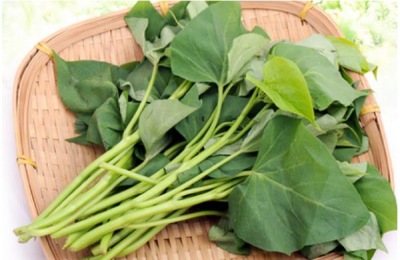 家庭小作坊加工哪些项目赚钱？这些项目投资少，收益高