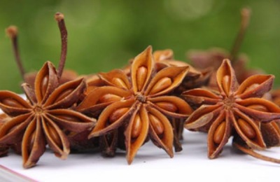 草莓苗哪里有便宜的批发?一株植物的价格是多少