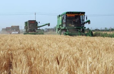 芒种的农事活动