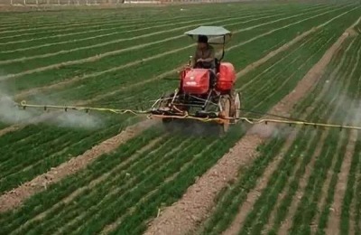 什么肥料适合小麦返青?每亩施多少