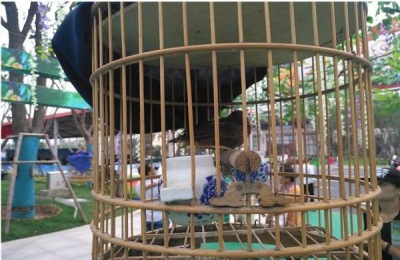 灵山鸡一斤多少钱？养殖前景如何？(附养殖技术)