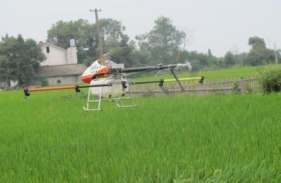 农村种什么最赚钱?这六个项目前景广阔