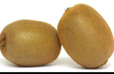 猕猴桃品种介绍