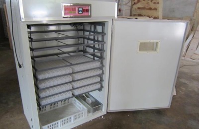 全自动孵化机使用方法？多少钱一台？