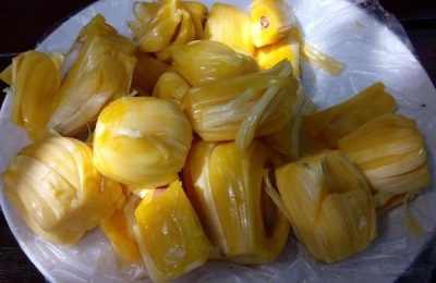 菠萝蜜一斤多少钱？种植菠萝蜜赚钱吗