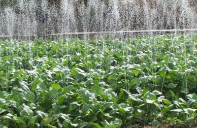 农业灌溉方式有哪些