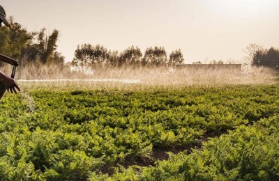 有机肥怎么施肥