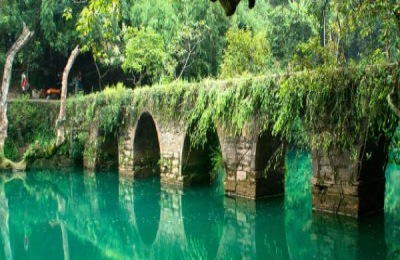 什么蜜蜂适合在贵州饲养？介绍贵州蜜蜂养殖技术