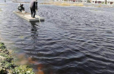 腐植酸钠在水产养殖中的作用