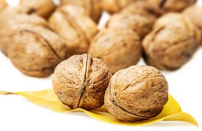 核桃有哪些优质品种