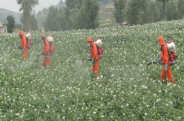 农药种类有哪些，农药是什么