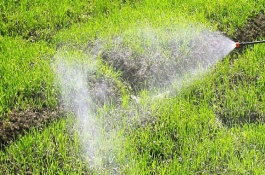 金都尔使用范围，金都尔作用及使用方法