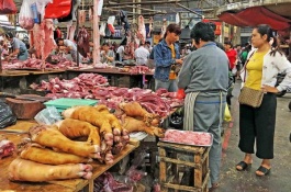 山刺玫果一斤多少钱，山刺玫果的营养价值