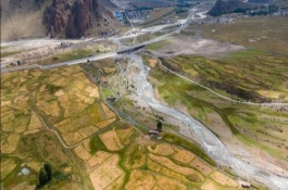 藏香猪养殖技术