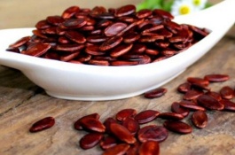 瓜子有哪些常见种类，瓜子的常见种类 1