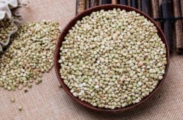 荞麦的产地在哪里，荞麦产地在哪