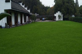 草坪除杂草用什么药，杂草防除用药