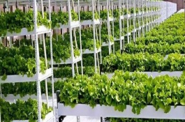 摊位经济掀起创业热潮，摆摊赚钱吗