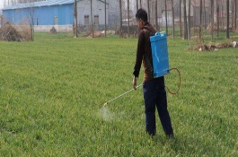 草甘膦使用方法，草甘膦的杀草机理