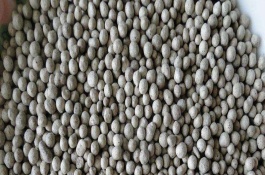 硅钙钾镁肥的使用方法，用于花卉类