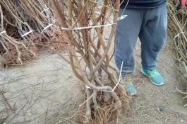 农村流动卖货赚钱，流动收废品